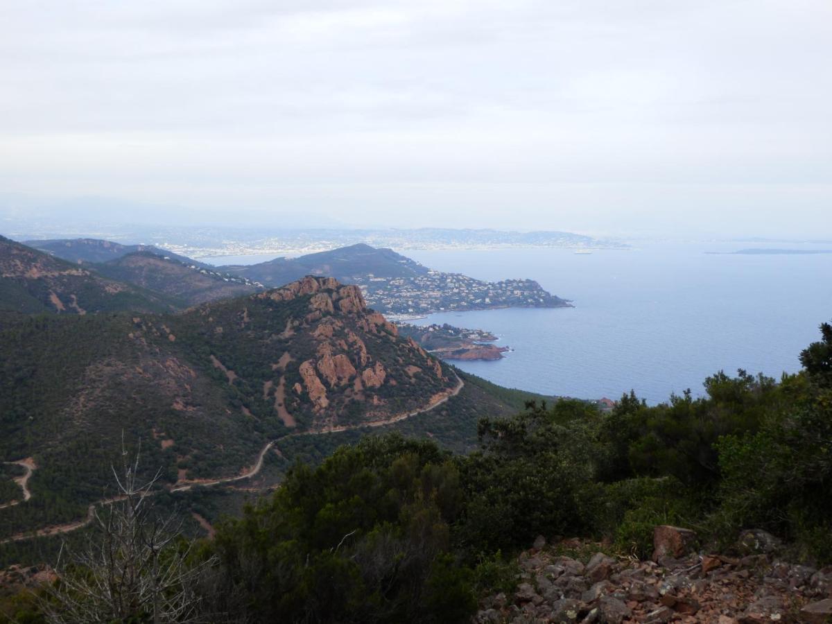 Esterel Terrasses, Roof Top, Plage, Parking Payant 戛纳 外观 照片